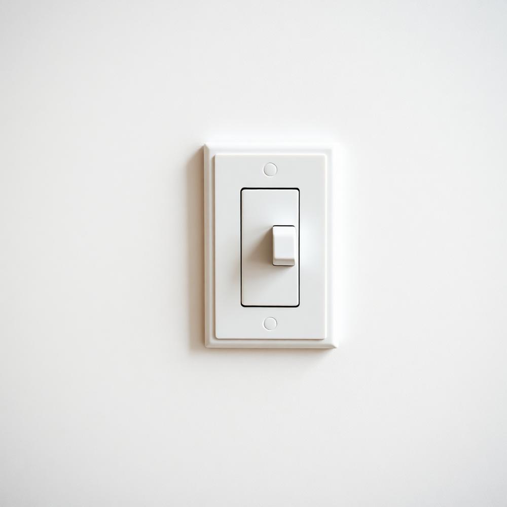 Freshly cleaned white light switch on a spotless wall